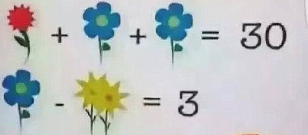 Simple test matemático con flores abre el debate en redes sociales: ¿cuál es la solución?