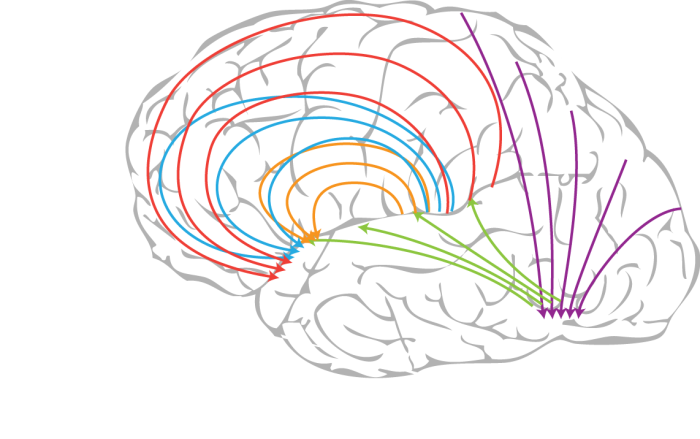 ¿Puedes resolver este test de memoria? 95% de las personas no obtiene puntuación perfecta