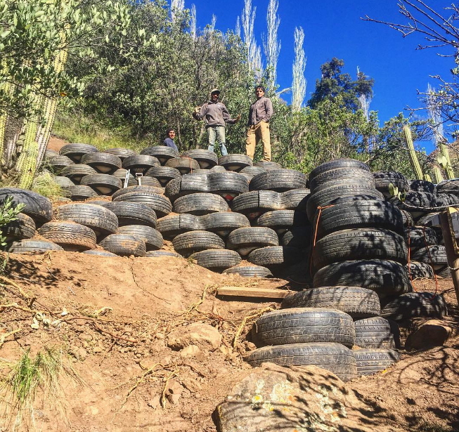 Pangal Andrade / Instagram