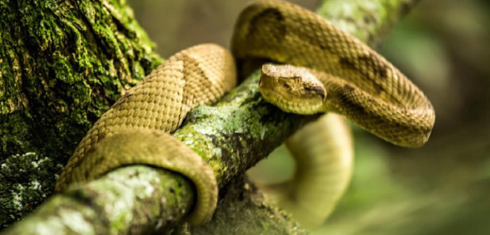 ¿Has visitado alguno?: Video recopila los 7 lugares más peligrosos de la Tierra