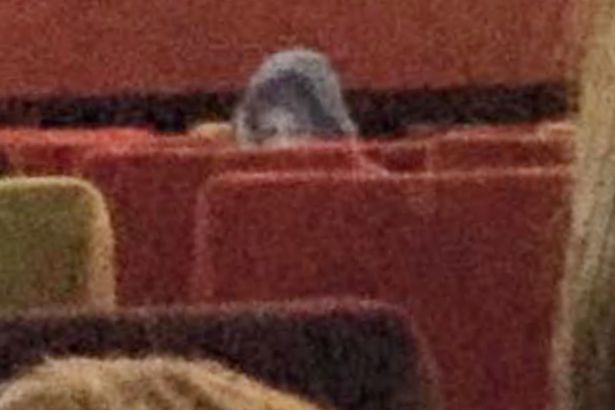 Foto | Mercury Press