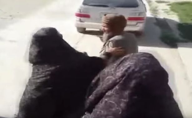 Captura | The Observers