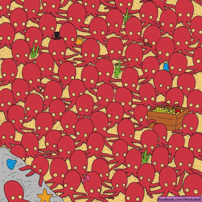 ¿Puedes ver al pez entre los pulpos?: El desafío marino que revoluciona a la red