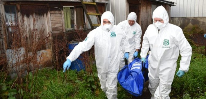 Encuentran a hombre muerto con herida de arma blanca en Dalcahue