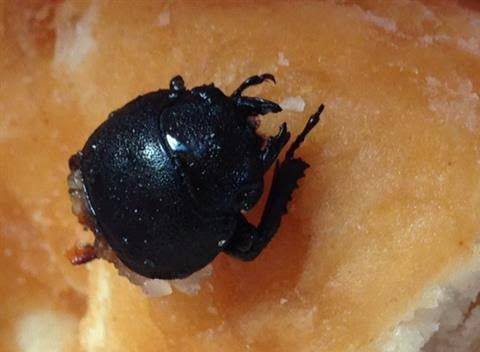 SWNS | SOUTH WEST NEWS SERVICES