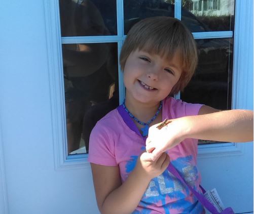 Sophia con uno de sus amigos insectos | Nicole Spencer  - Facebook