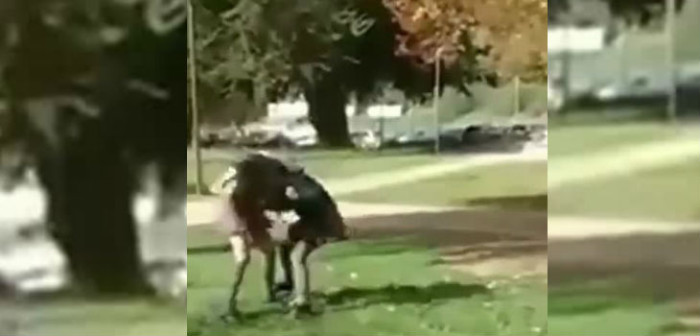 Violencia escolar en Concepción: entregan antecedentes de agresora a la justicia