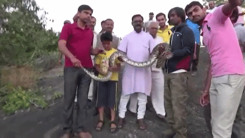 Quiso lucirse con una selfie junto a una serpiente gigante pero se llevó gran sorpresa