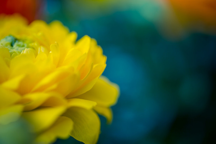 10 canciones para darle la bienvenida a la (maldita) primavera