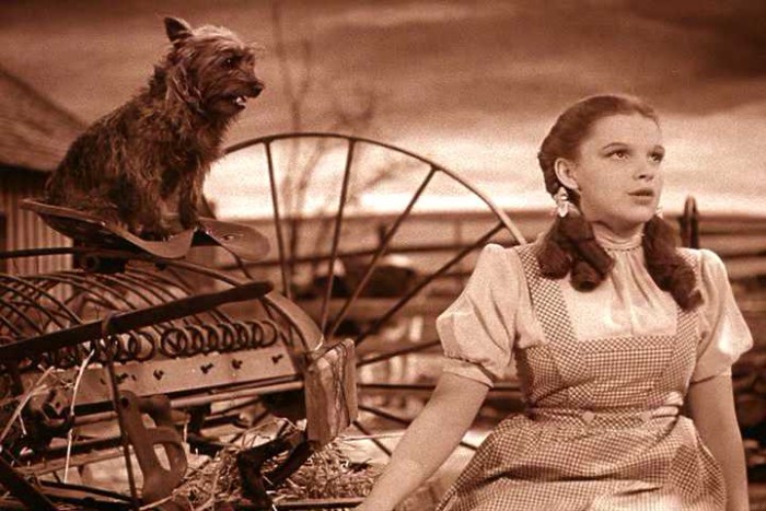 Recaudan miles de dólares para restaurar zapatos de la película 