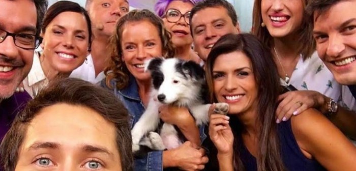 El pelambre del panel de 