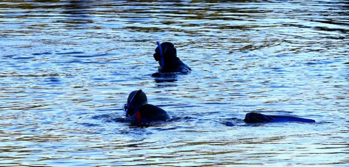 Hallaron con vida a pescadores en Laguna del Laja: serán multados por pescar en veda
