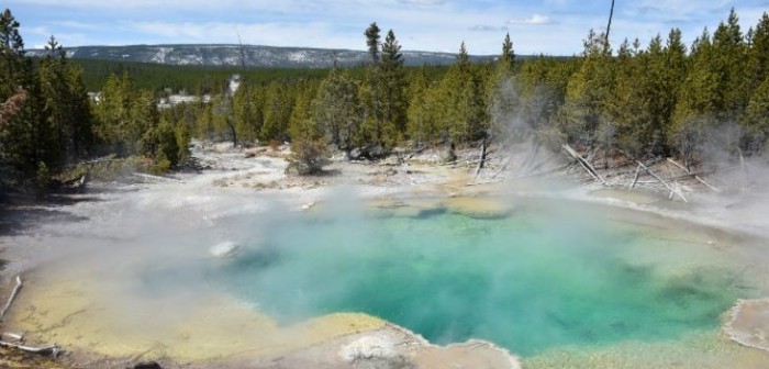 Joven murió tras caer a aguas termales ácidas en Parque Yellowstone: su cuerpo se disolvió