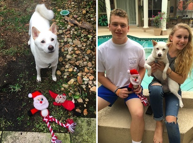 La perrita con su adorado peluche y los hermanos Montaldo | Twitter