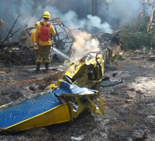 @ICEBiobio | Twitter