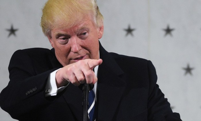 Una polilla fue apodada Trump por su peinado singular