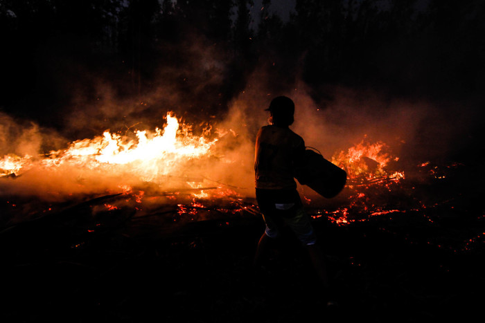 Encuentran evidencias de uso de acelerantes en zona donde comenzó incendio de Cauquenes