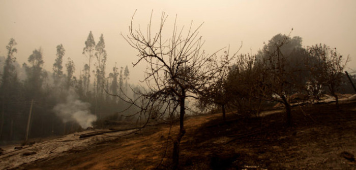 Confirman detención de mujer acusada de iniciar incendios forestales en Yungay