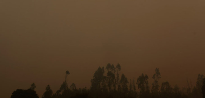 Agrupación religiosa se niega a evacuar pese a amenaza del fuego camino a Florida