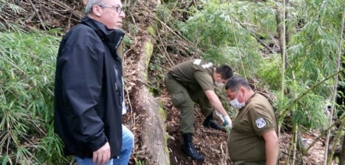 Encuentran en Malalcahuello osamentas que podrían ser de joven desaparecido hace 5 años