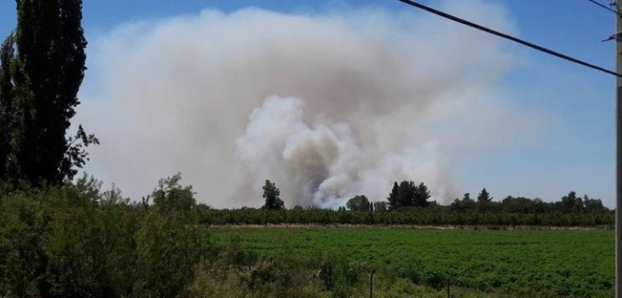 Ñuble: Nuevo foco de incendio crece en límites de Bulnes y Chillán