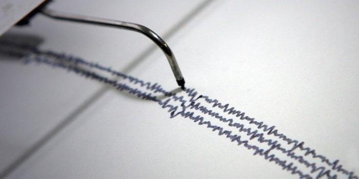 Sismo remeció esta madrugada a 4 regiones del norte del país