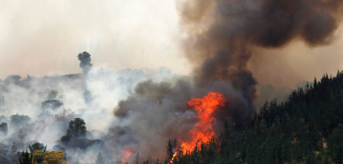 Onemi: 39 incendios en combate, 56 controlados y 31 extinguidos en todo Chile
