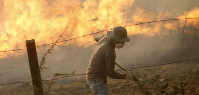 Más de 396 mil hectáreas afectadas y cerca de 3 mil damnificados por incendios forestales