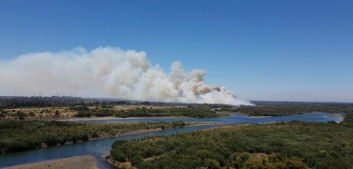 Incendio en Negrete | José Hernández | BBCL