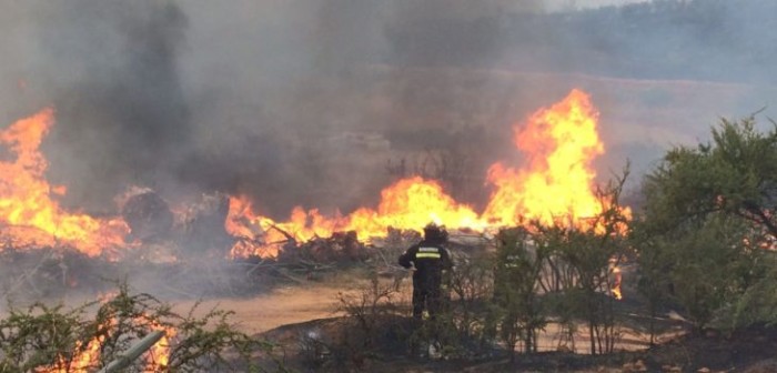 Incendios forestales mantienen bajo Alerta Roja a seis comunas de la región de Valparaíso