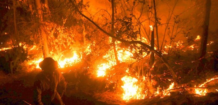 Cauquenes: nuevos focos activos de incendios no pueden ser controlados por brigadistas