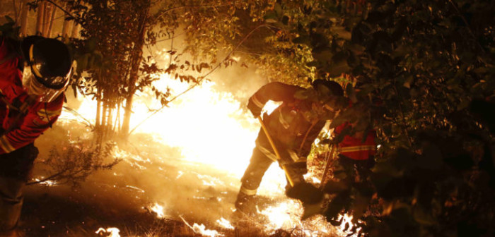27 incendios forestales siguen activos a nivel país: más de 63 mil hectáreas consumidas