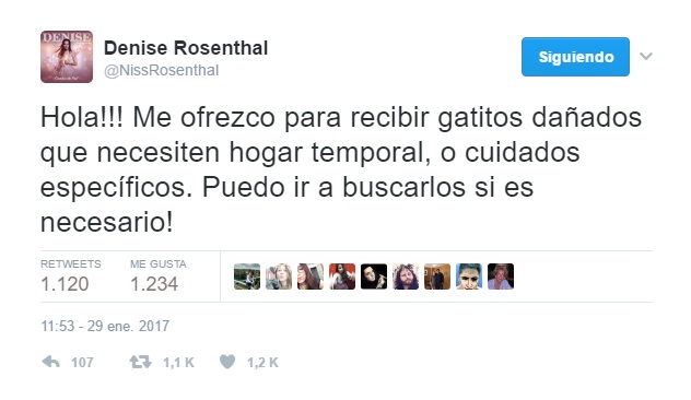 Denise Rosenthal | Twitter