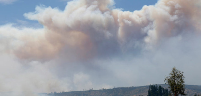 Detienen a dos jóvenes universitarios acusados de iniciar incendio forestal en Bulnes