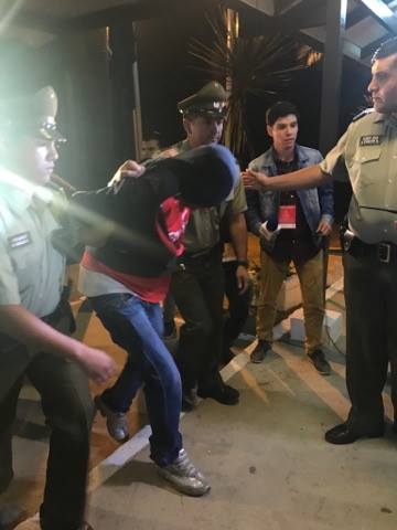 Bárbara Orellana | Página 7