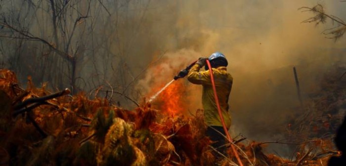 Reporte de Onemi informa que hay 36 incendios activos, 15 controlados y uno en combate