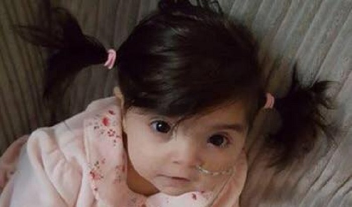 Bella: la pequeña de 8 meses que sorprende con su largo cabello