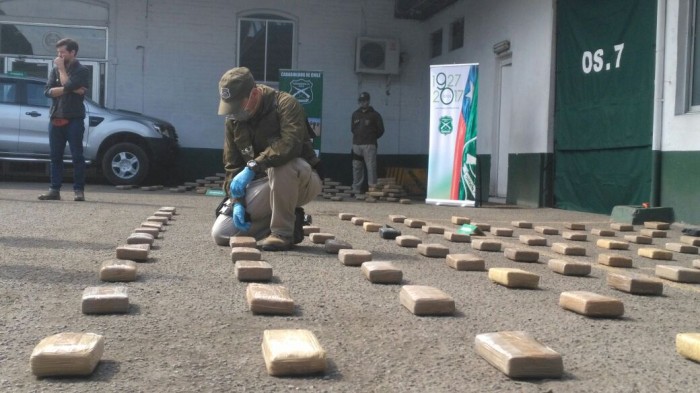 Decomisan 426 kilos de 'marihuana gourmet' avaluada en US$9 millones: hay 3 detenidos