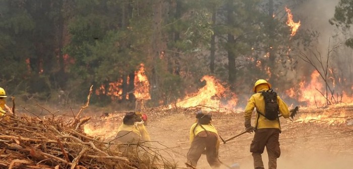 Responsabilidades en incendios forestales: formalizarán en abril a dos gerentes de CGE