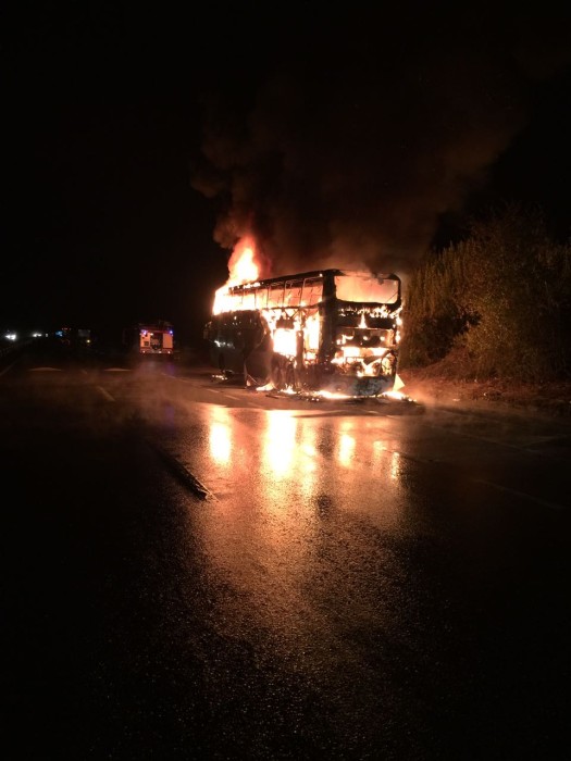 Natalia Cea | Radio Bío Bío