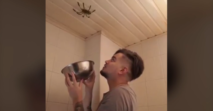 Joven se quiso hacer el valiente y atrapar una araña: resultado es horrible y aterrador