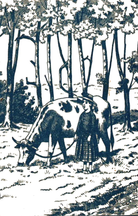 ¿Puedes encontrar a la niña oculta en este bosque?