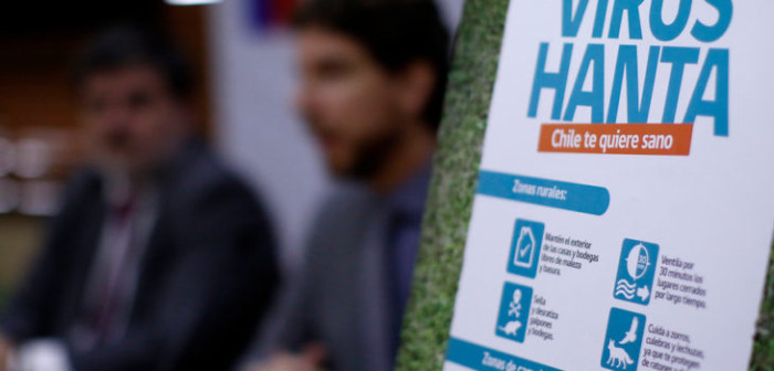 Autoridades descartan caso sospechoso por virus Hanta en región de Los Lagos