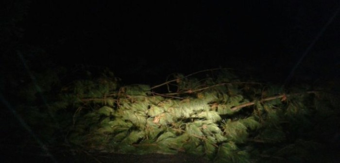 Bloqueos de rutas marcan inicio del Censo en la provincia de Malleco