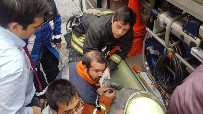Mascota muere tras incendio en céntrico edificio en Temuco: bomberos intentó reanimarlo