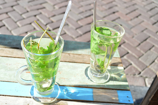 Paula Montañà Tor | Flickr