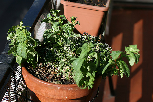 José Carlos Cortizo Pérez | Flickr