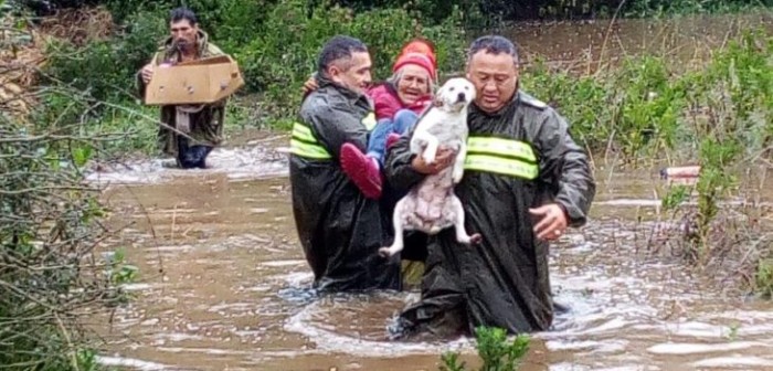 Carabineros rescata a personas y mascotas aisladas por lluvias en el norte