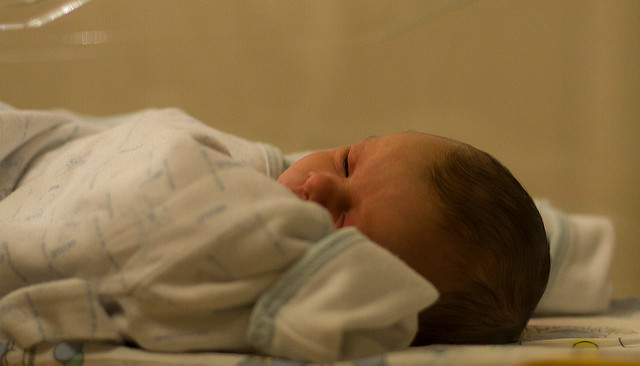 Bridget Coila (CC) | Flickr