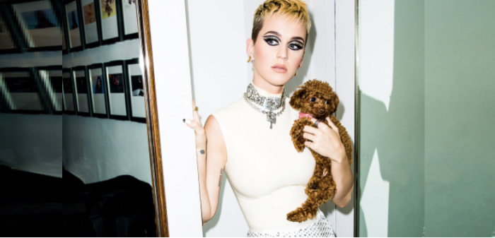 El bello y potente gesto de Katy Perry con las víctimas del atentado de Mánchester